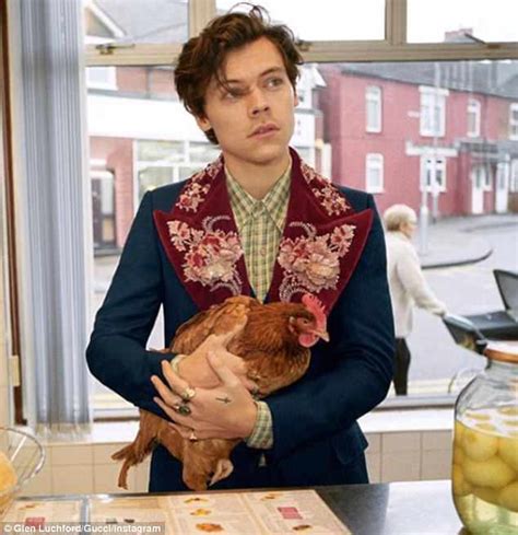 harry styles gucci chicken